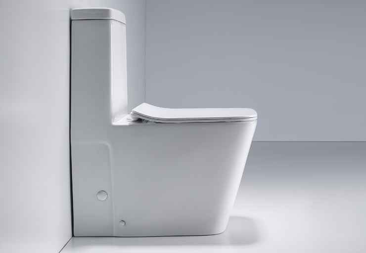 Italian Standard Metropole One-Piece toilet Washdown Rimless