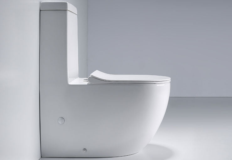 Italian Standard Harmony One-Piece toilet Washdown Rimless